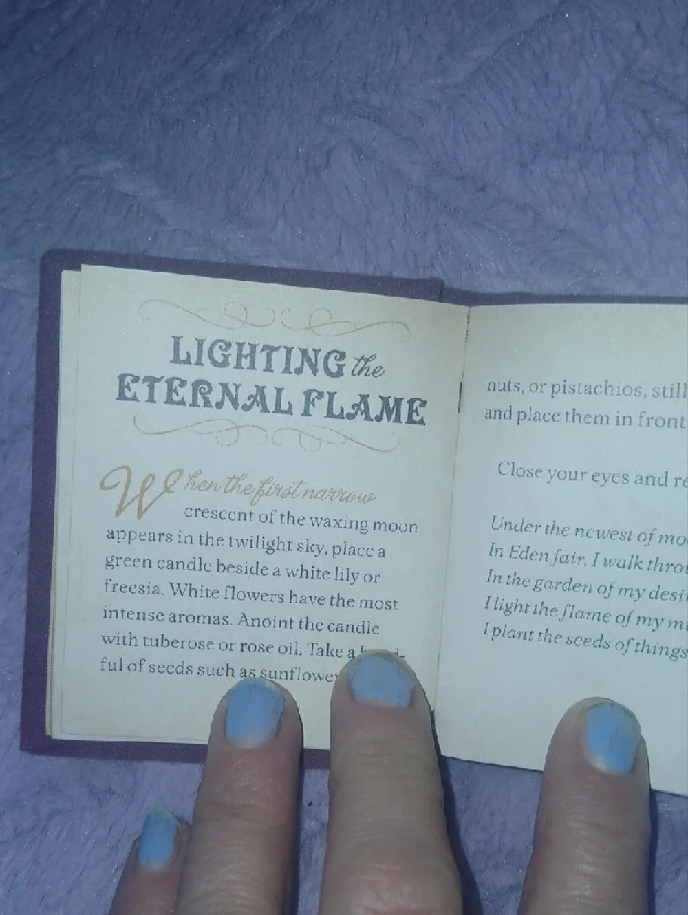The Witches' Spell Mini-Book for Love, Happiness, and Success 3x3